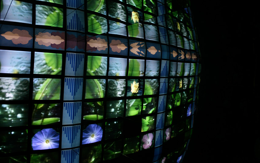 Was könnte lehrreicher zum Thema Natur sein, als eine Videoinstallation?