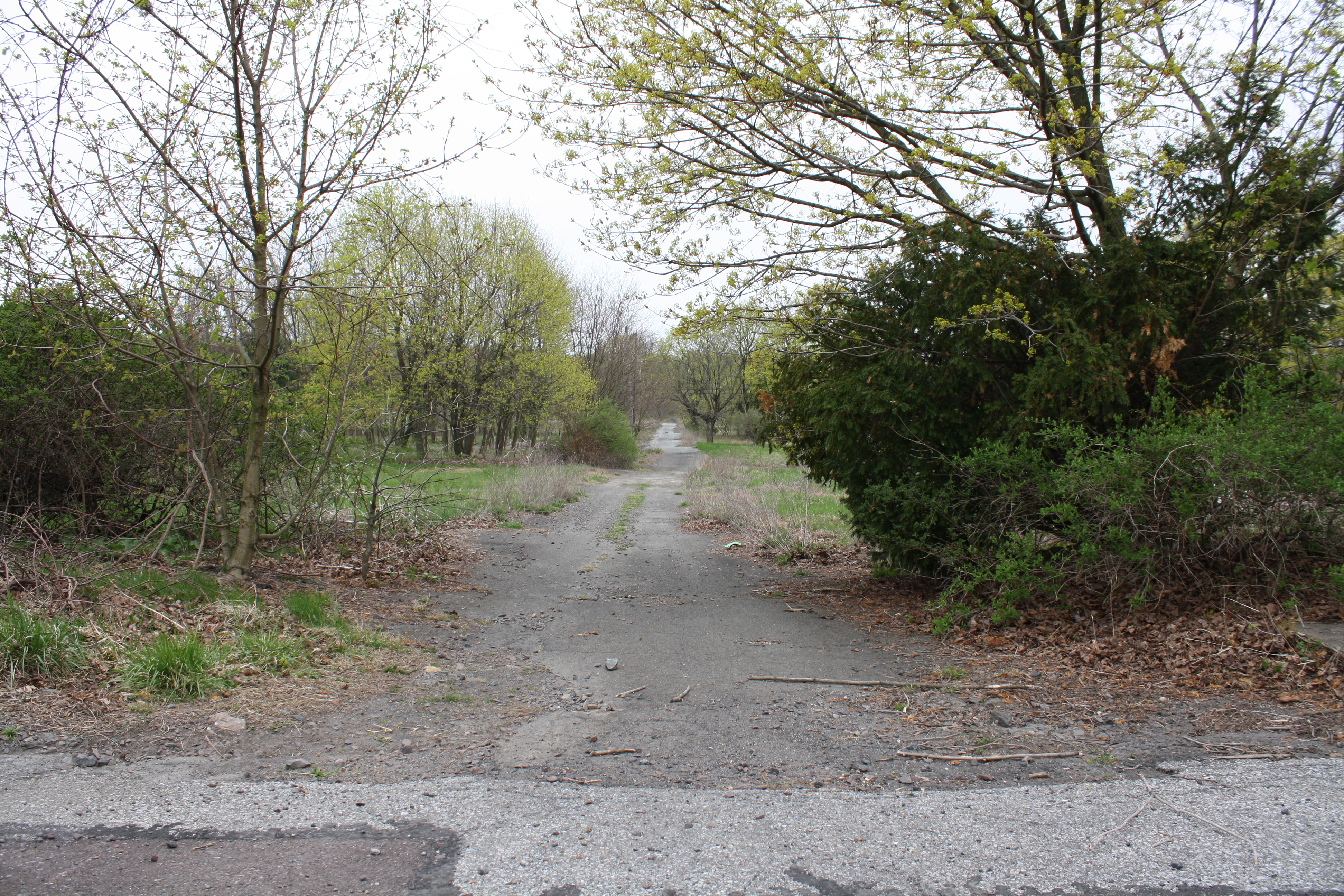 Alle Häuser wurden rückgebaut, nur das Straßennetz der Stadt ist noch vorhanden.